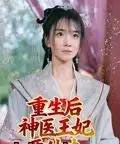 重生后神医王妃要休夫(86集全)宋恺-紫橙网创项目网