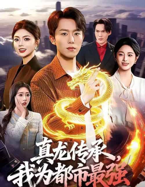 真龙传承,我为都市最强(103集全)赵书苑&邵迪-紫橙网创项目网