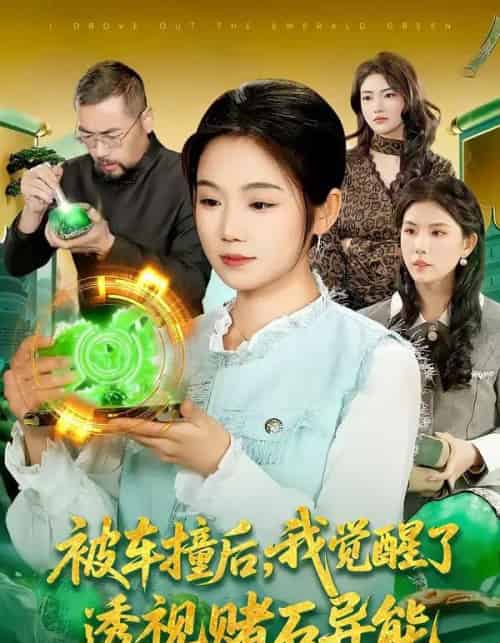 被车撞后，我觉醒了透视赌石异能了（83集全）攸灵＆大飞-紫橙网创项目网