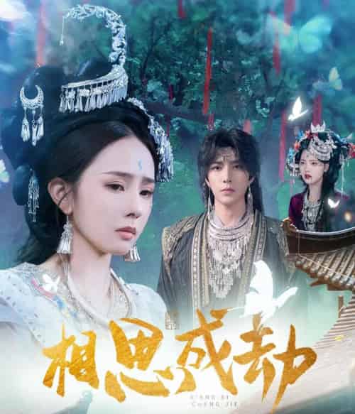 相思成劫(51集全)翟成露&李柏言-紫橙网创项目网