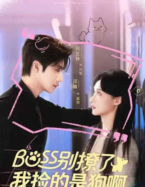 Boss别撩了，我捡的是狗呀（65集全）邵魏＆何宣林-紫橙网创项目网