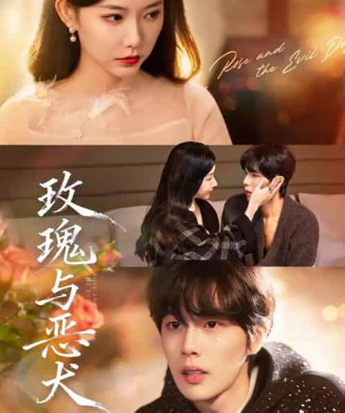 玫瑰与恶犬（80集全）马义炎＆盛晨 - 紫橙阁短剧