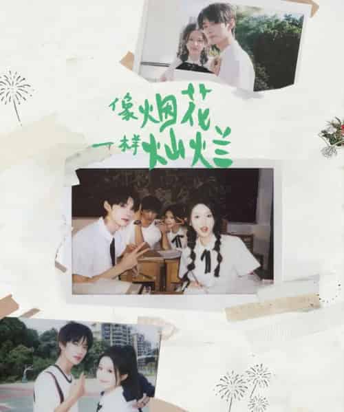 像烟花一样灿烂（60集全）王译磊＆张翅＆李柯以＆余茵-紫橙网创项目网