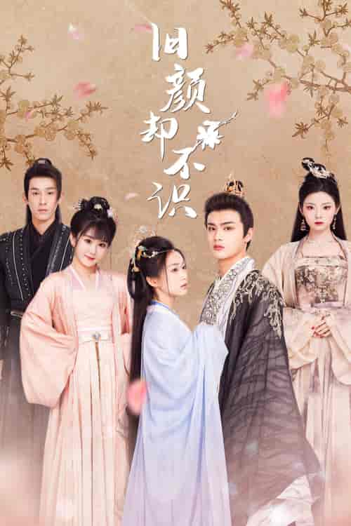 旧颜却不识＆曲终人亦散（77集） - 紫橙阁短剧