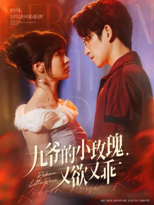 九爷的小玫瑰又欲又乖（80集）林可汉＆陆元 - 紫橙阁短剧