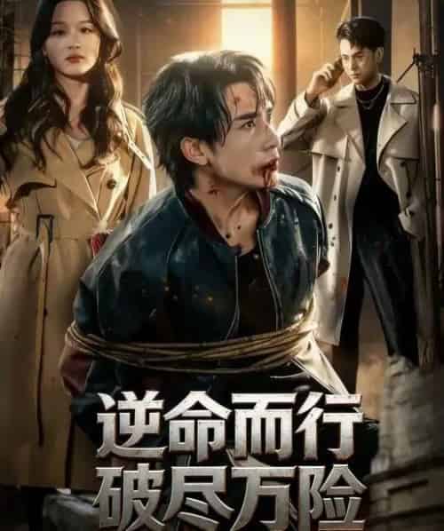 逆命而行破尽万险（83集全）蓝晚星-紫橙网创项目网