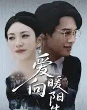 爱向暖阳生(50集全)鄢子纶&詹婷-紫橙网创项目网