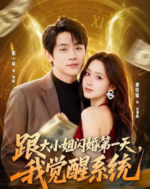 跟大小姐闪婚第一天,我觉醒系统 跟大小姐闪婚第一天,我觉醒系统