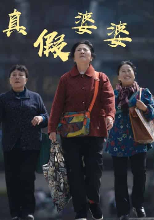 真假婆婆（61集全）陈大宝＆苏晴鱼 - 紫橙阁短剧
