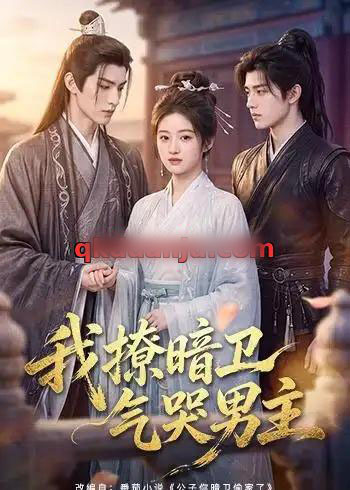 我撩暗卫气哭男主（60集全）AI短剧-紫橙网创项目网