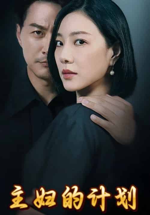主妇的计划（84集全）肖建安＆周静 - 紫橙短剧