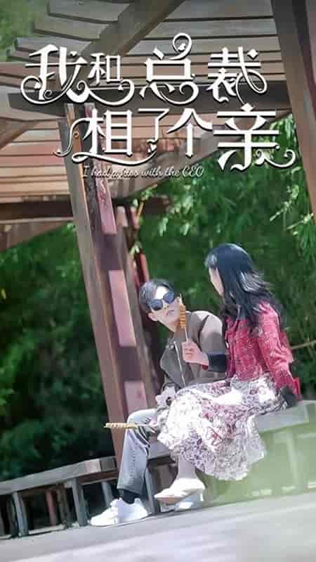我和总裁相了个亲（90集）姚冠宇 - 紫橙阁短剧