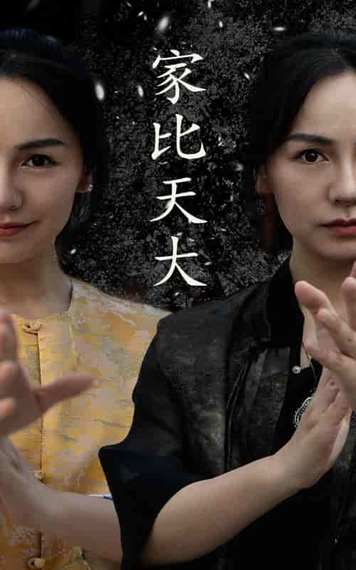 家比天大（63集） - 紫橙阁短剧