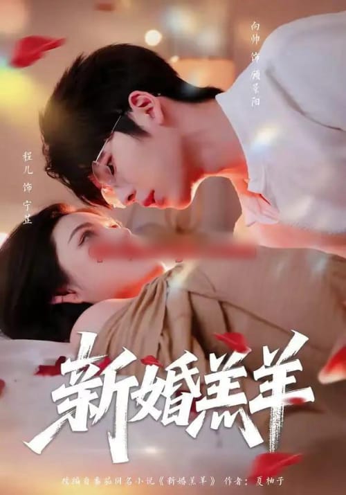新婚羔羊(89集全)向帅&程儿-紫橙网创项目网