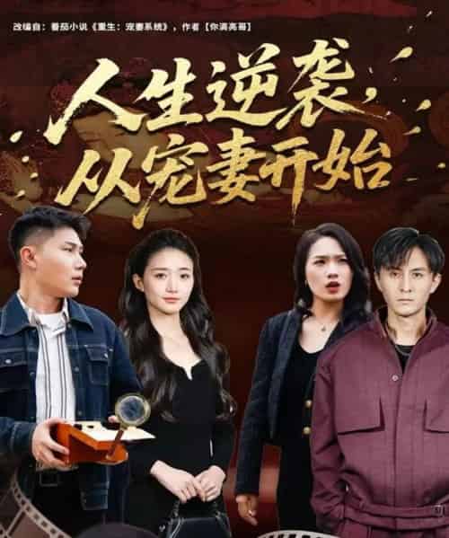 人生逆袭，从宠妻开始（80集全）张钧凯＆董秋怡-紫橙网创项目网