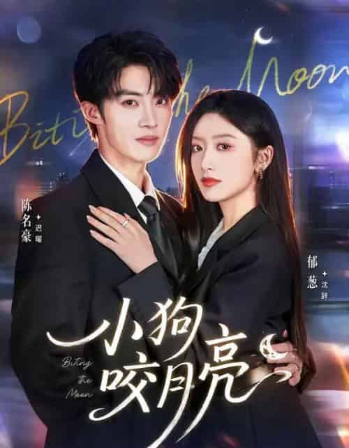 小狗咬月亮（66集全）陈名豪＆郁葱-紫橙网创项目网