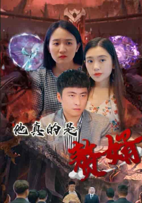 他真的是赘婿（48集全）秦臻＆陈对对 - 紫橙阁短剧