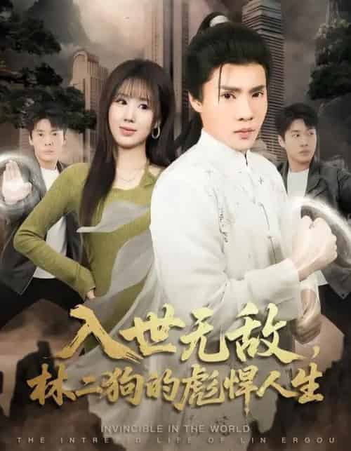 入世无敌，林二狗的彪悍人生（70集全）黄佳俊＆朱梦怡-紫橙网创项目网