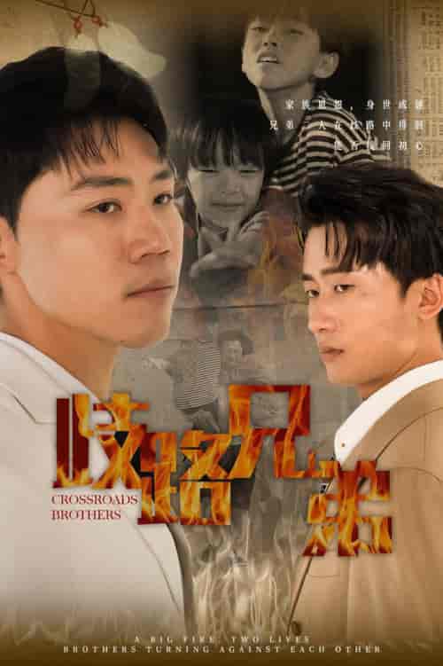 歧路兄弟（63集全） - 紫橙阁短剧