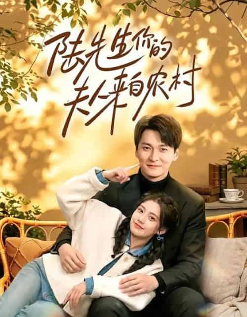 陆先生你的夫人来自农村(50集全)郭伊慧&肖涵-紫橙网创项目网