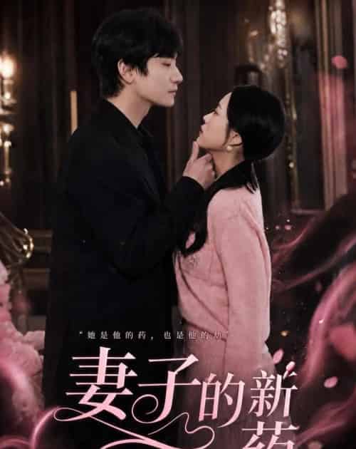 妻子的新药(60集全)杨芷煊&俞秉辰-紫橙网创项目网