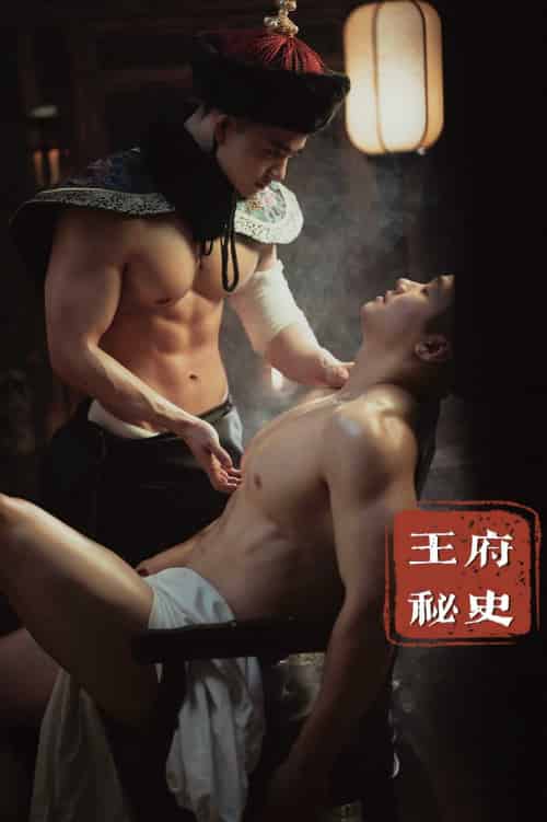 王府秘史（腐剧） - 紫橙阁短剧