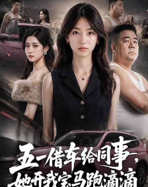 五一借车给同事,她开我宝马跑滴滴(60集全)AI-紫橙网创项目网