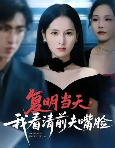 复明当天，我看清前夫嘴脸（50集全）曹梓玲＆赵赫为＆方敏安-紫橙网创项目网