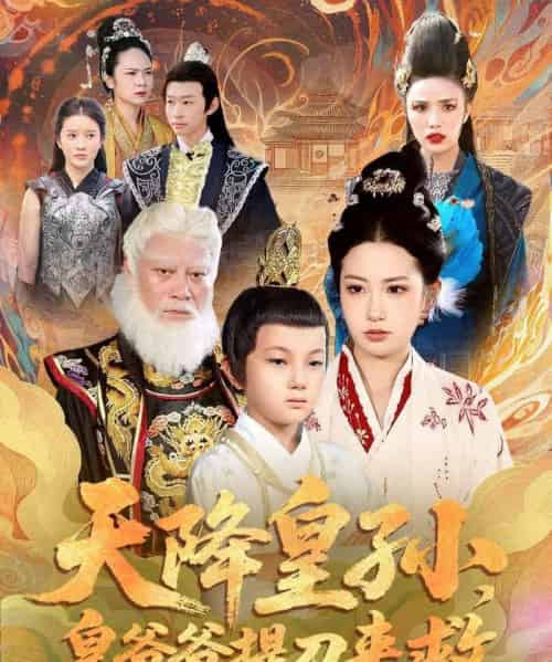 天降皇孙，皇爷爷提刀来救（90集全）梅瑞滢＆李仲桓-紫橙网创项目网