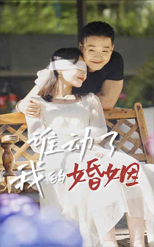 谁动了我的婚姻（24集） - 紫橙阁短剧