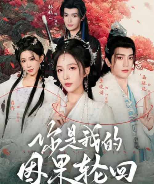 你是我的因果轮回（100集全）王晓诗＆马晓凡-紫橙网创项目网