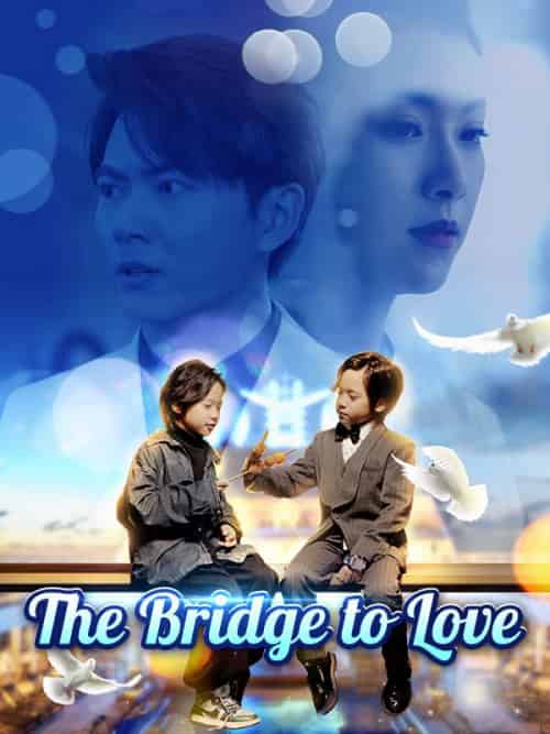 The Bridge to Love（80集全）Jay＆Irwin＆＆Amber＆Clark - 紫橙海外短剧