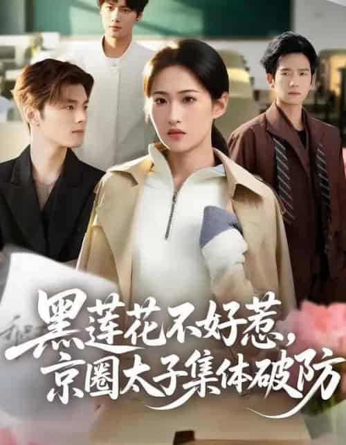 黑莲花不好惹,京圈太子集体破防(53集全)申晴&彭瑞风-紫橙网创项目网