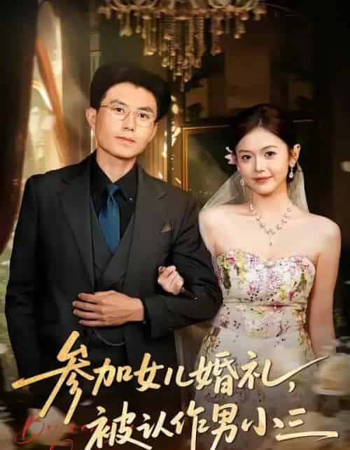 参加女儿婚礼,被认作男小三 参加女儿婚礼,被认作男小三