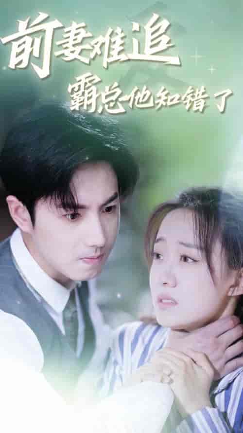 前妻难追，霸总他知错了（87集）侯呈月 - 紫橙阁短剧
