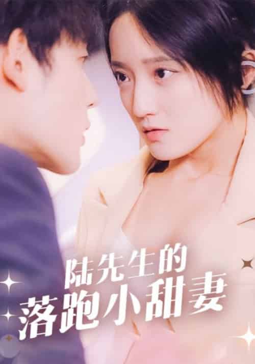陆先生的落跑小甜妻（85集全）陆时晏＆苏心语 - 紫橙阁短剧