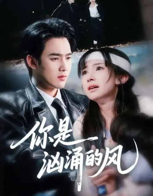你是汹涌的风(70集全)孙艺荀&杨紫艺-紫橙网创项目网