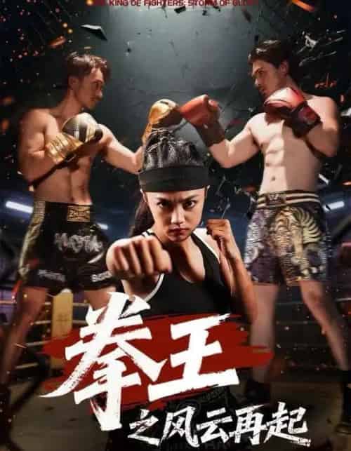 拳王之风云再起（50集全）夏巧戈＆王城-紫橙网创项目网