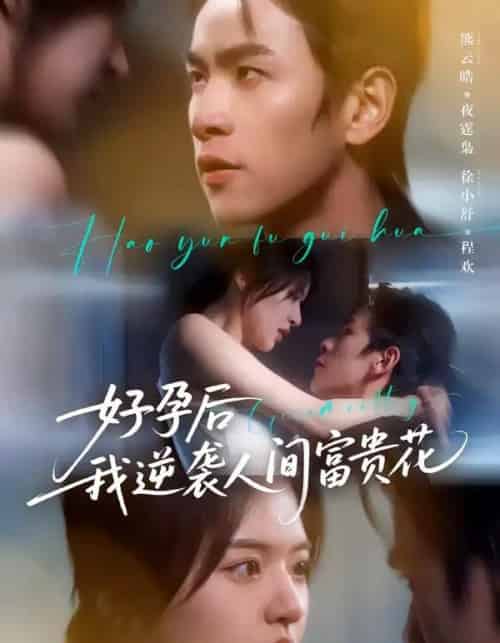夜先生的小欢喜&好孕后我逆袭人间富贵花(71集全)熊云皓&徐小舒-紫橙网创项目网