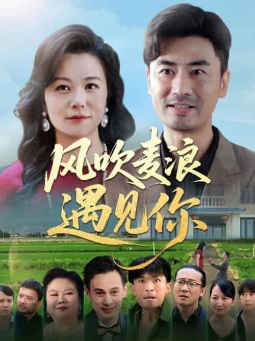 风吹麦浪遇见你（60集全）李易泽＆李晓 - 紫橙阁短剧
