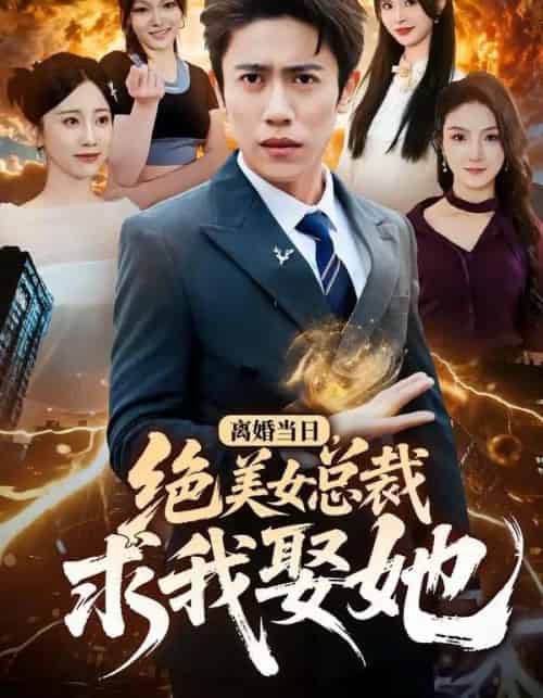 离婚当日，绝美女总裁求我娶她（81集全）周越＆顾嘉轩-紫橙网创项目网