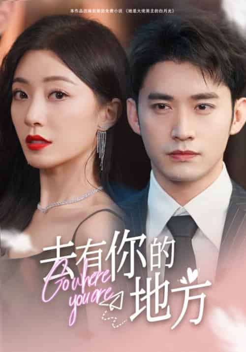 去有你的地方（74集） - 紫橙阁短剧