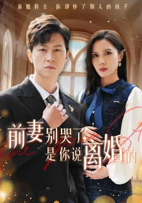 前妻别哭了是你说离婚的（42集全） - 紫橙阁短剧