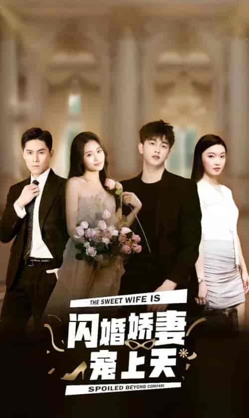 闪婚娇妻宠上天（87集）-紫橙网创项目网