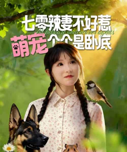 七零辣妻不好惹萌宠个个是卧底（96集全）王云菲＆姜铭怀-紫橙网创项目网
