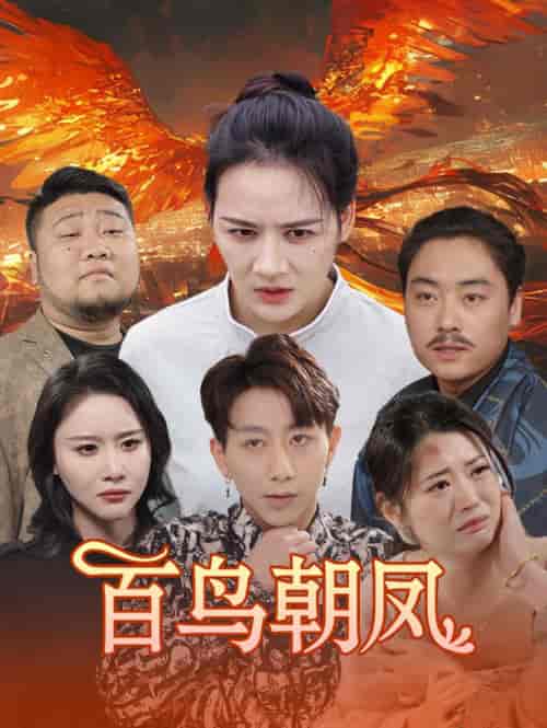百鸟朝凤（39集）王飞乔 - 紫橙阁短剧