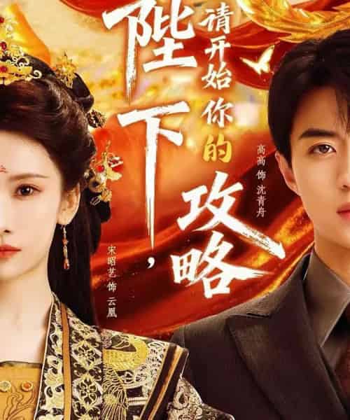 陛下,请开始你的攻略(76集全)高高&宋昭艺-紫橙网创项目网