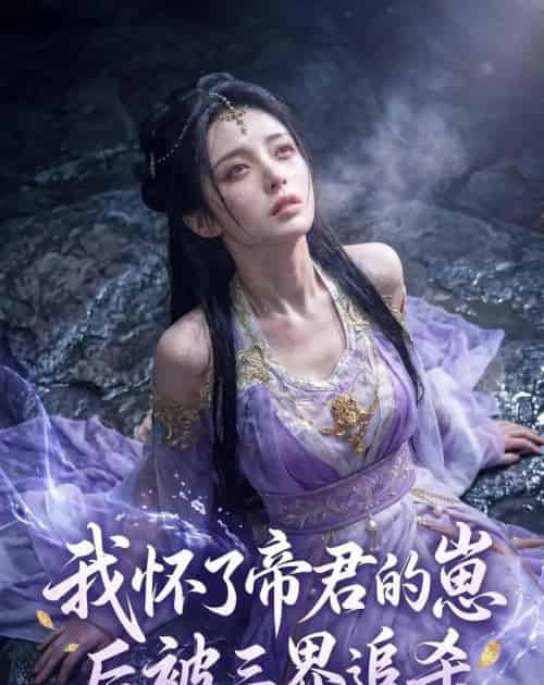 我怀了帝君的崽后被三界追杀（25集全）AI-紫橙网创项目网