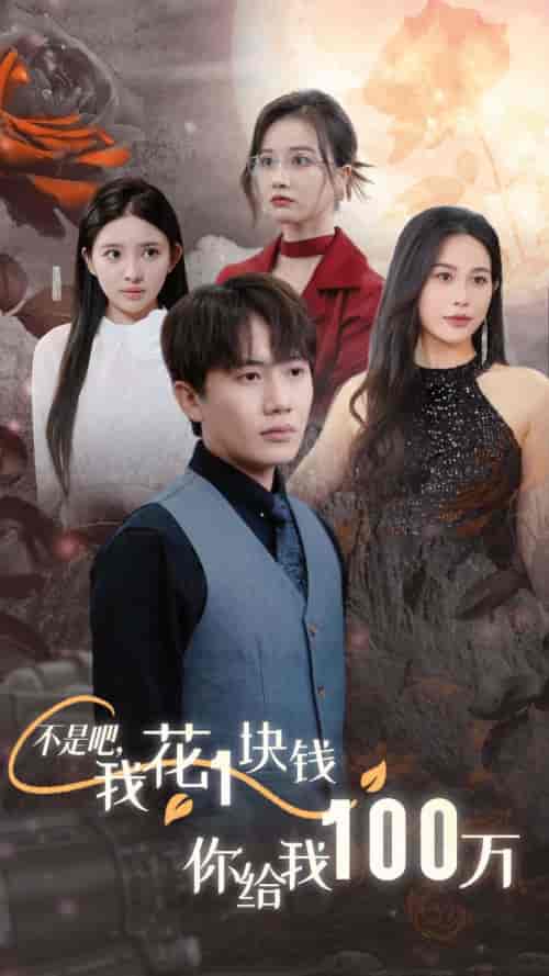 不是吧，我花1块钱你给我100万＆24小时我百倍返现（37集全） - 紫橙阁短剧