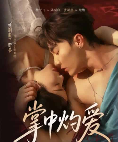 掌中灼爱 掌中灼爱